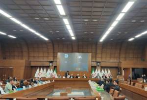 انصراف نیمی از نامزدهای ریاست فدراسیون اسکیت