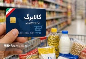 واریز ۱۷ هزار و ۵۶۰ میلیارد تومان به حساب مجری طرح افزایش کالابرگ