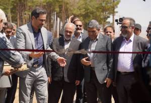 مدیرعامل سیتا: پروژه اصلاح منصوبات  چاه‌های کشاورزی، نمونه‌ای از نوآوری و خلق ارزش برای صنعت و جامعه