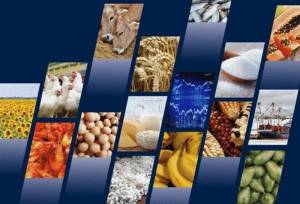 ثبت سفارش واردات 110 قلم کالای کشاورزی