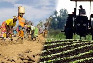 سهم بخش کشاورزی از تسهیلات حداقل معادل 10.8 درصد تعیین شد