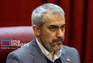 اظهارات مدنی‌زاده درباره روند بررسی وضعیت بانک ها