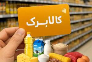 اطلاعیه مهم وزارت رفاه درباره قطع کالابرگ برخی افراد 