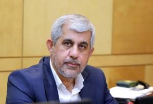 انتقاد صریح نماینده مجلس از دلال‌بازی و بحران خام‌فروشی خرما