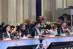 ضرورت تقویت تاب‌آوری اقتصادی و مالی بریکس در برابر چالشهای جهانی
