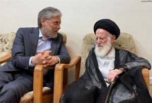 وزیرعلوم: آیت‌الله شبیری زنجانی تجلی زیست اخلاقی علامه طباطبایی بود