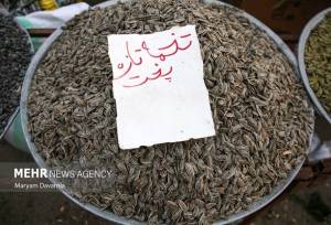 صادرات ۱۵ محصول کشاورزی آزاد شد
