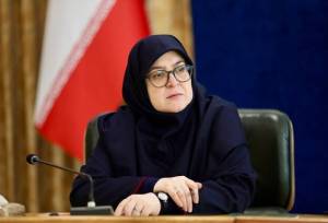 اعمال دورکاری کارمندان دولت با هدف مدیریت انرژی صورت گرفته است