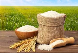 برنج مرغوب در استان های شمالی با چه قیمتی به فروش می رسد؟