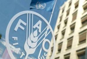 فائو از افزایش قیمت مواد غذایی در ژوئیه خبر داد
