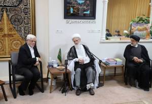 آیت الله بیات‌زنجانی در دیدار با عارف: دولت زخم دی‌ماه را ترمیم کند/ حصر مهندس موسوی در این دولت باید پایان یابد