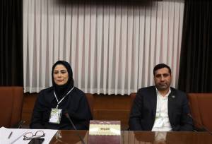 انتخابات فدراسیون اسکیت به دور دوم کشیده شد