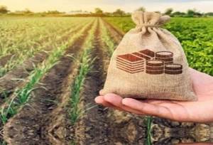 سند راهبردی صندوق بیمه کشاورزی در افق ۱۴۱۰ رونمایی شد