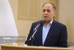 نوری: برای اصلاح نظام نان باید تفکیک وظایف شود