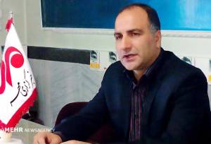 رکورد تولید گندم شکسته شد