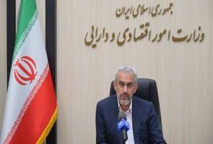 مدنی‌زاده: رقم نهایی افزایش اعتبار کالابرگ به زودی مشخص می‌شود