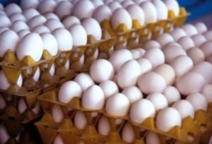 قیمت واقعی تخم‌مرغ چقدر است؟/ مصرف روزانه ۳ هزار و ۳۰۰ تن تخم مرغ در تهران