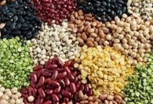 113 درصد اختلاف قیمت لوبیا در بازار با وجود تخصیص ارز مبادله‌ای