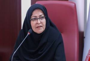 انصاری: صادرات را برای تولیدکنندگان قانون‌مدار تسهیل می‌کنیم