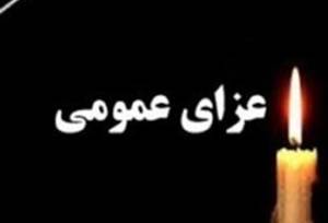 هیئت دولت در پی رحلت آیت‌الله شبیری‌زنجانی امروز عزای عمومی اعلام کرد
