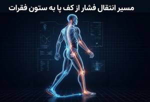نقش کلیدی اسکن کامپیوتری کف پا در پیشگیری از آسیب‌های ستون فقرات