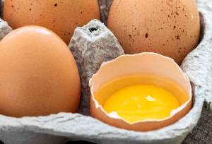 قیمت جدید تخم مرغ چقدر است؟