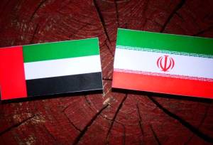 دومین سفر هواپیمای سلطنتی امارات در تهران طی دو روز