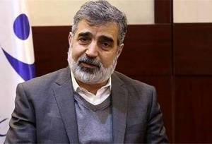 کمالوندی: پروتکل ساخت راکتورهای کوچک با روسیه در حال نهایی‌شدن است