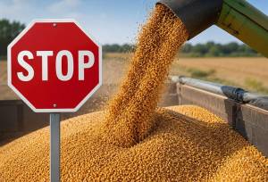 بررسی سناریوهای آزادسازی قیمت گندم در دولت
