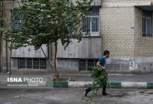 صدور هشدار هواشناسی برای 14 استان کشور