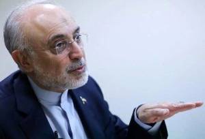 علی اکبر صالحی: چاقویی که ظاهرا آمریکا برای ایران تیز می‌کند در حقیقت برای چین و روسیه است | آمریکا به دنبال تقویت پترودلار است زیرا...