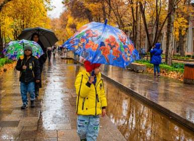 تصویری زیبا از اولین بارش باران پاییزی در شیراز 