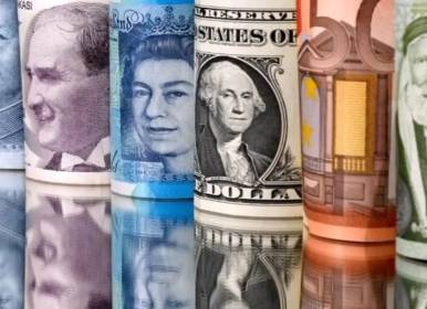 ۲۲۵ بدهکار کلان ارزی شناسایی شدند+فیلم