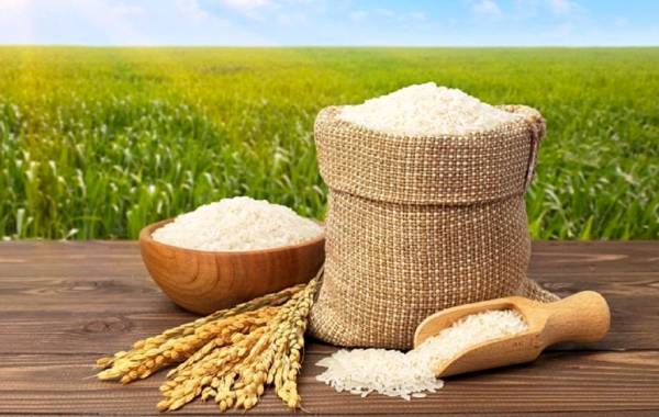 قیمت طارم هاشمی و دم سیاه گیلان چقدر شد؟