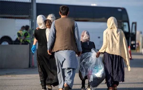 کشف ۳۱۰ میلیارد ریال فرار مالیاتی اتباع غیرایرانی 