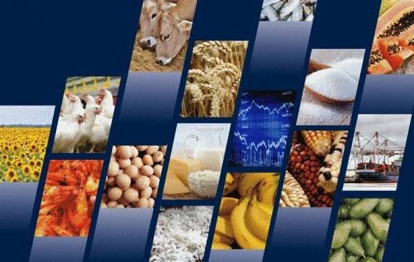 ثبت سفارش واردات 110 قلم کالای کشاورزی