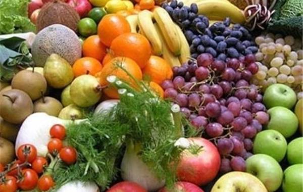 سرمایه‌گذاری مشترک ایران و قزاقستان در حوزه کشاورزی