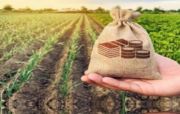 سند راهبردی صندوق بیمه کشاورزی در افق ۱۴۱۰