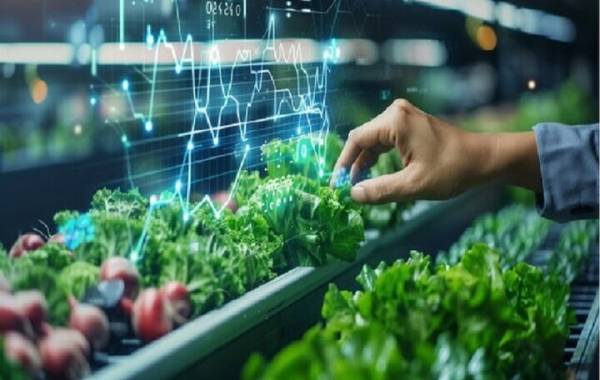 پروتکل‌های اضطرار غذایی شورای همکاری خلیج‌فارس!