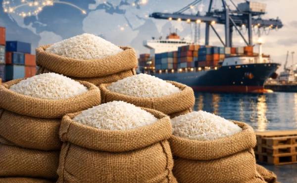 ابلاغ لغو ممنوعیت واردات برنج در فصل برداشت