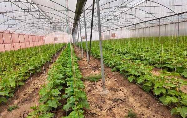 قطع گاز گلخانه؛ برای تامین گرمایش گلخانه چه کنیم؟