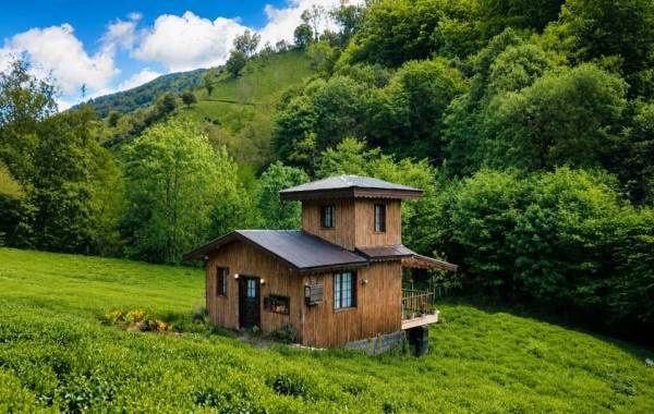 چرا کلبه‌های جنگلی لاهیجان را انتخاب کنیم؟