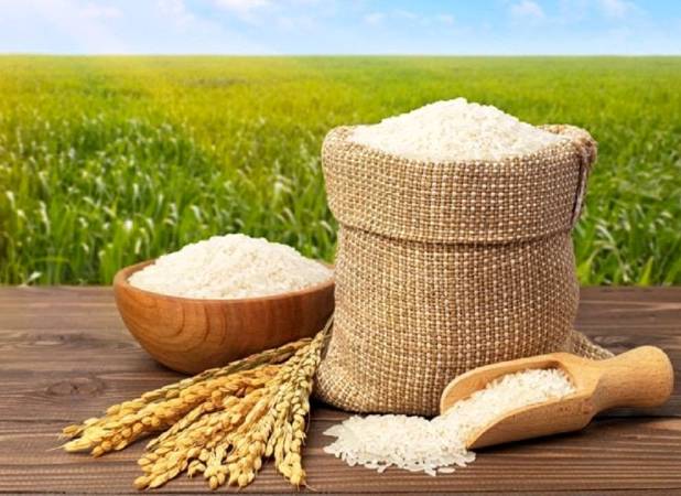 قیمت جدید برنج ایرانی/ طارم هاشمی و دم سیاه گیلان چقدر شد؟