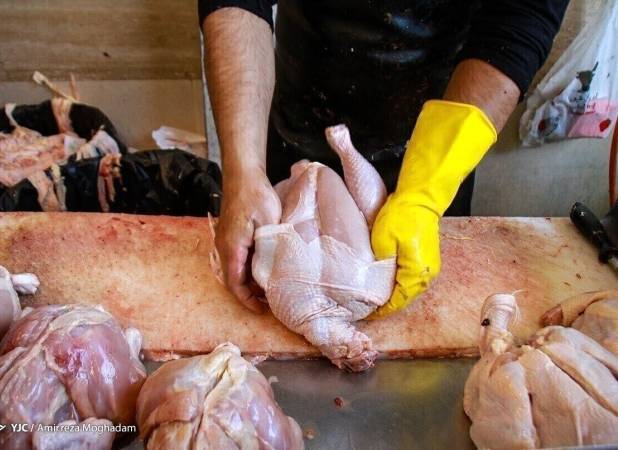 قیمت مرغ امروز پنجشنبه 15 مرداد 1405/ ران مرغ کیلویی چند شد؟
