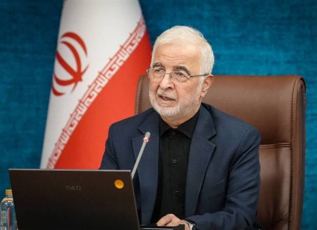 مومنی: دولت در دوران جنگ کنار مردم بود و کمبودی نداشتیم