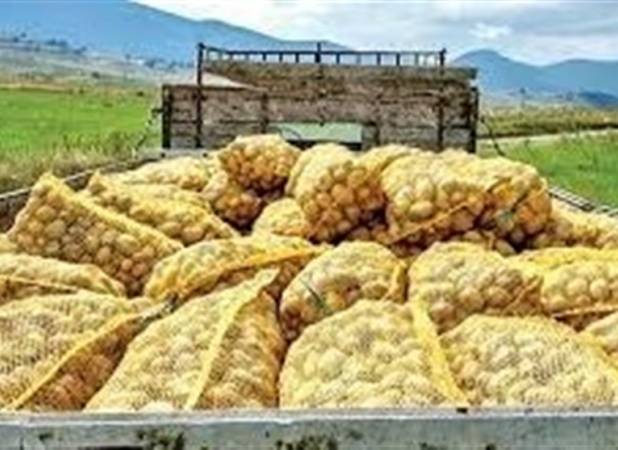 صادرات سیب‌زمینی تا پایان سال ممنوع شد