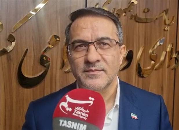 رفیع‌زاده: تکلیف دبیرخانه مناطق آزاد طی دو هفته آینده مشخص می‌شود
