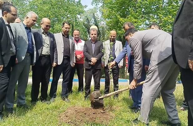 غرس ۸۷ اصله نهال به یاد رهبر شهید در آستانه‌اشرفیه