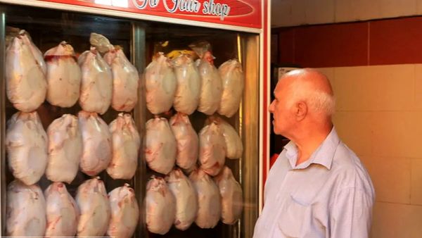 معمای عقب‌نشینی ایرانی‌ها از خوردن مرغ!