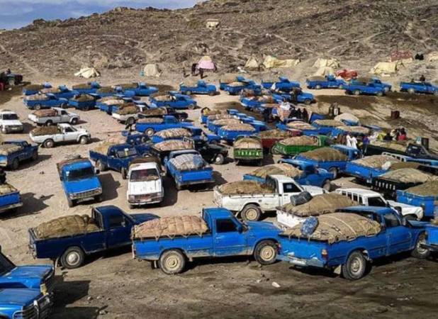 انهدام ۶ کیلومتر خط لوله انتقال سوخت قاچاق در هرمزگان